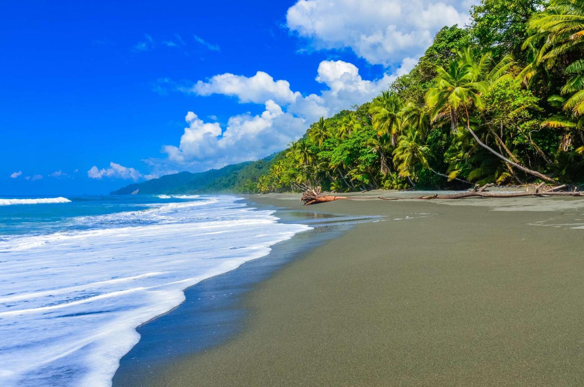 Puerto Jiménez Botanika Osa Peninsula, Curio Collection By Hilton酒店 外观 照片