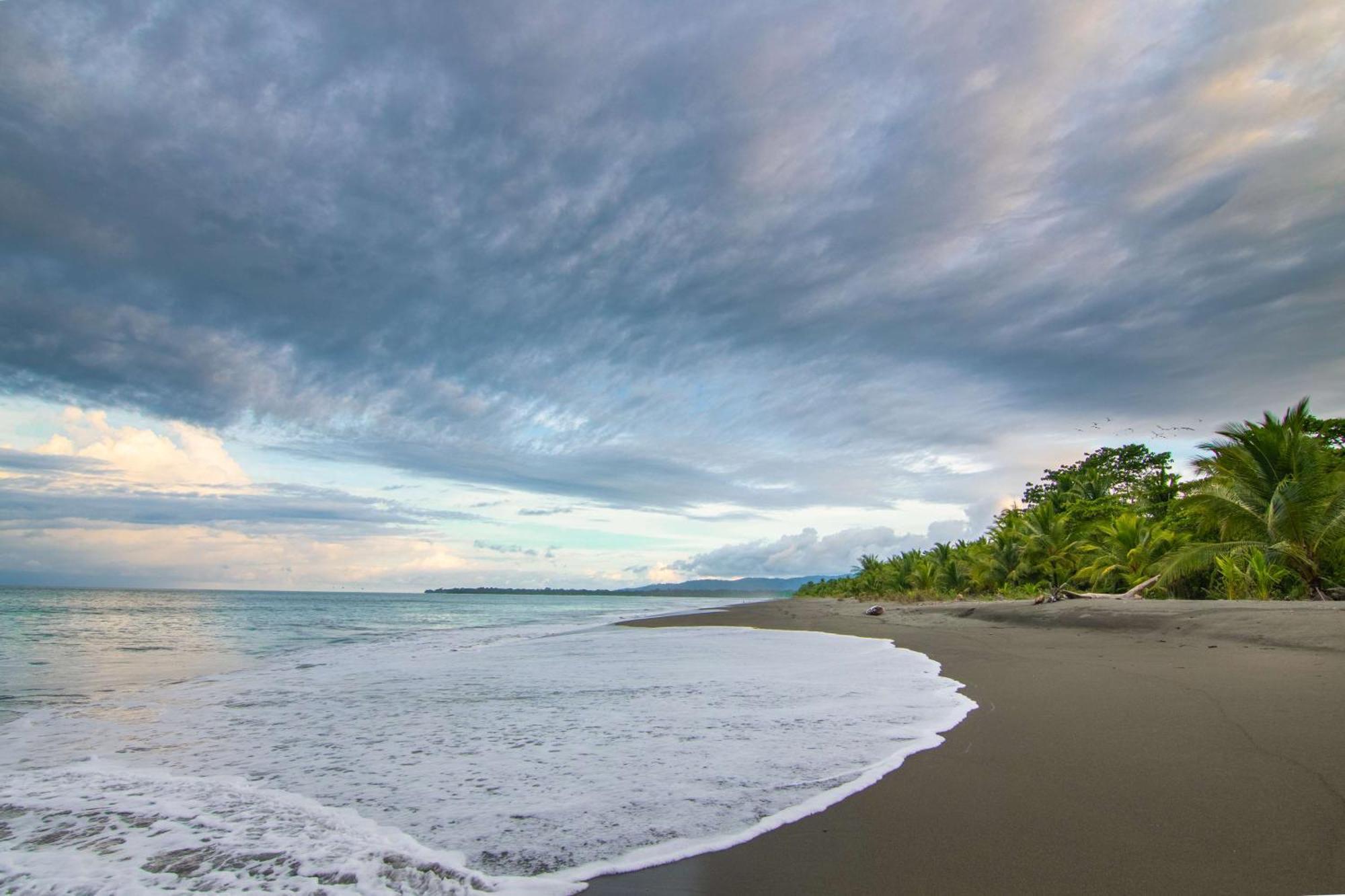 Puerto Jiménez Botanika Osa Peninsula, Curio Collection By Hilton酒店 外观 照片