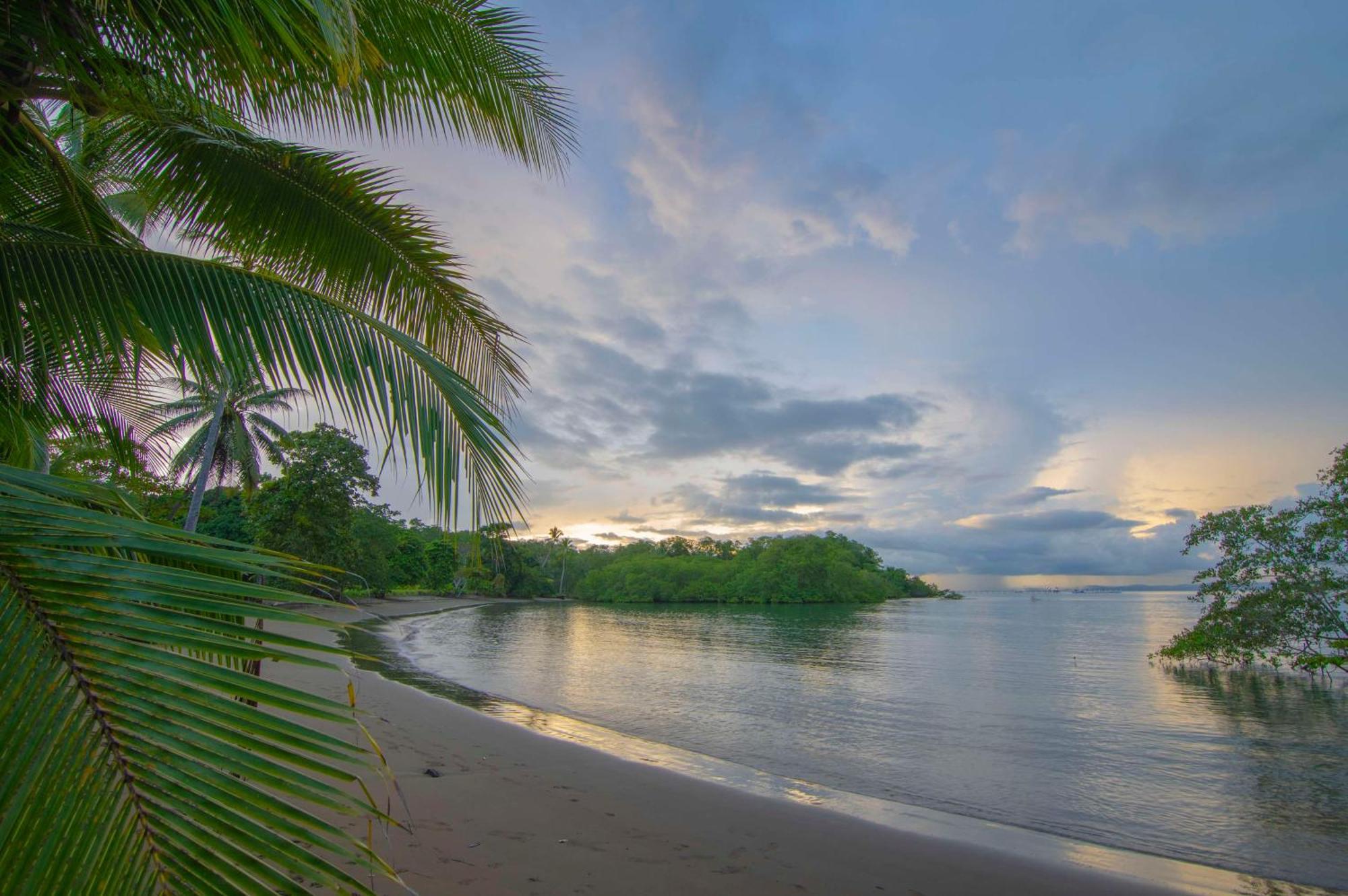 Puerto Jiménez Botanika Osa Peninsula, Curio Collection By Hilton酒店 外观 照片