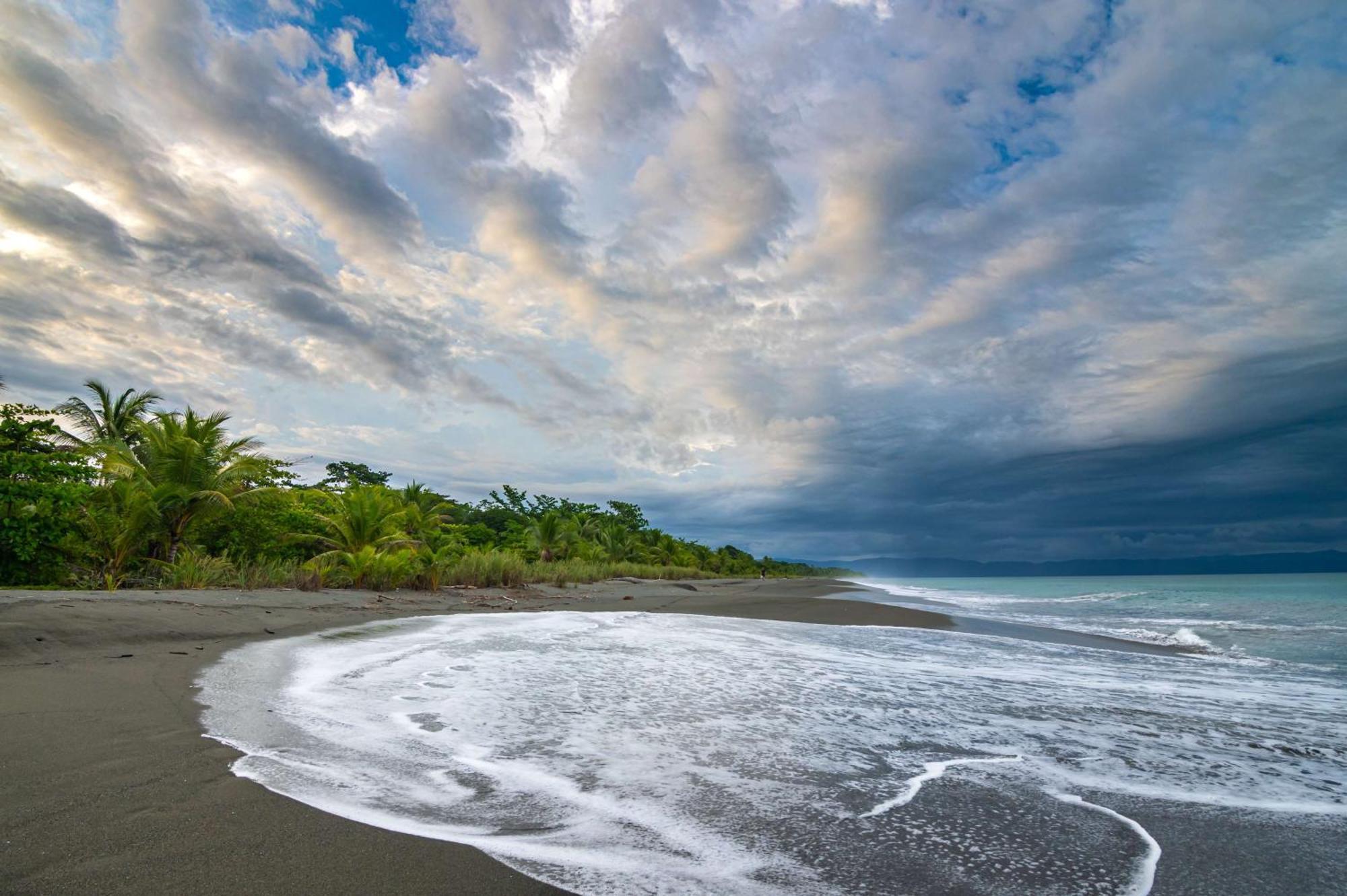 Puerto Jiménez Botanika Osa Peninsula, Curio Collection By Hilton酒店 外观 照片