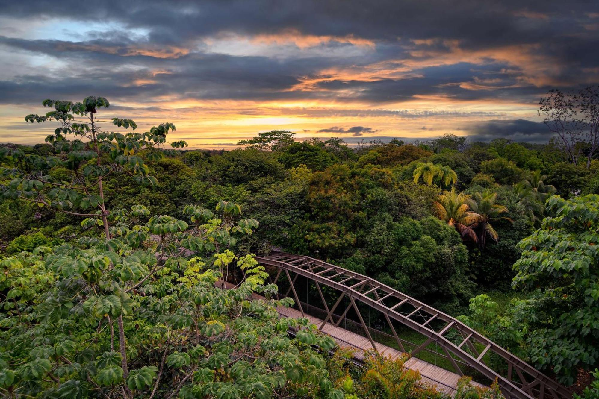 Puerto Jiménez Botanika Osa Peninsula, Curio Collection By Hilton酒店 外观 照片